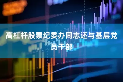 高杠杆股票纪委办同志还与基层党员干部