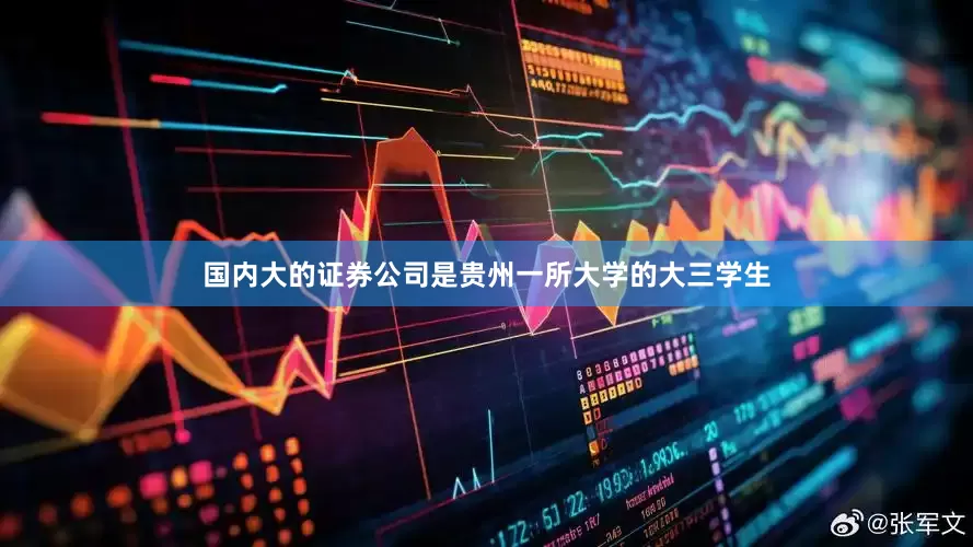 国内大的证券公司是贵州一所大学的大三学生