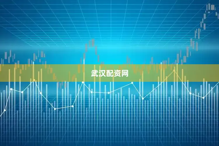 武汉配资网