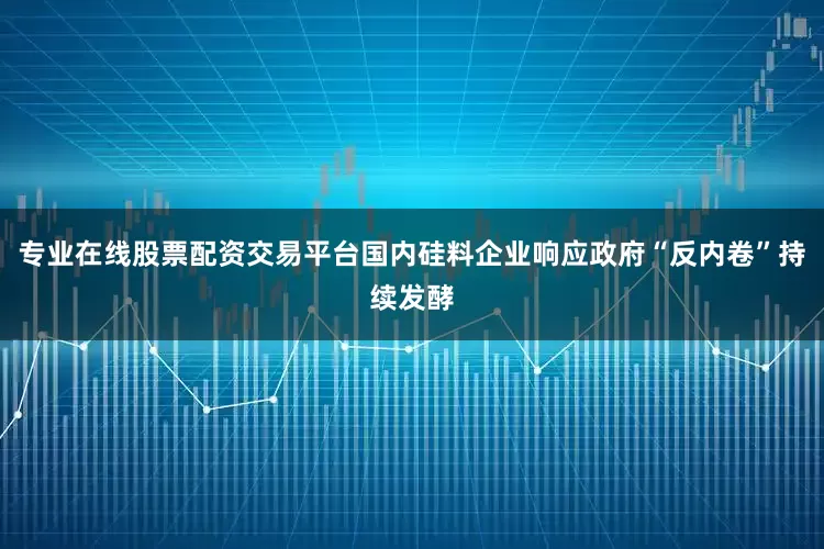 专业在线股票配资交易平台国内硅料企业响应政府“反内卷”持续发酵