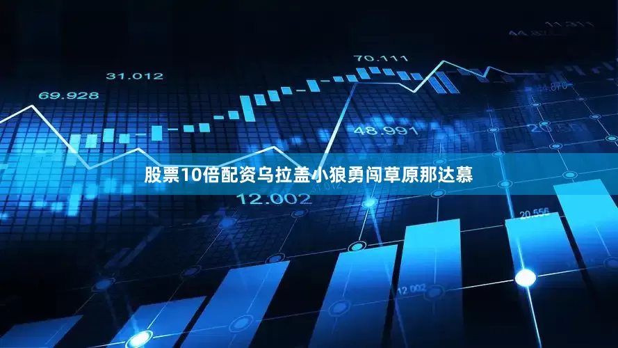 股票10倍配资乌拉盖小狼勇闯草原那达慕