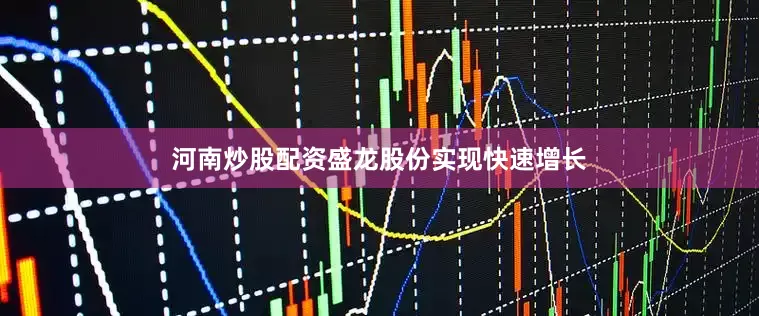 河南炒股配资盛龙股份实现快速增长